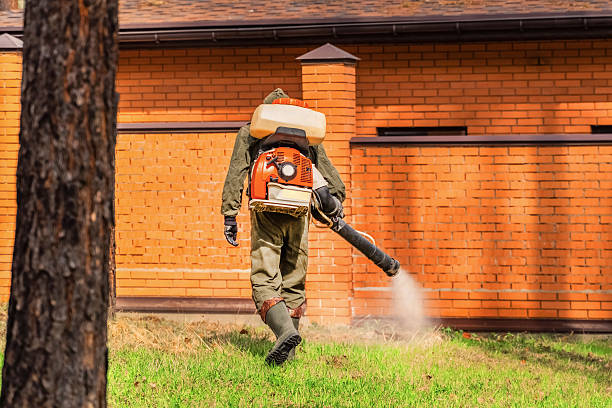 Bed Bug Clearance Verification and Documentation in Dellwood